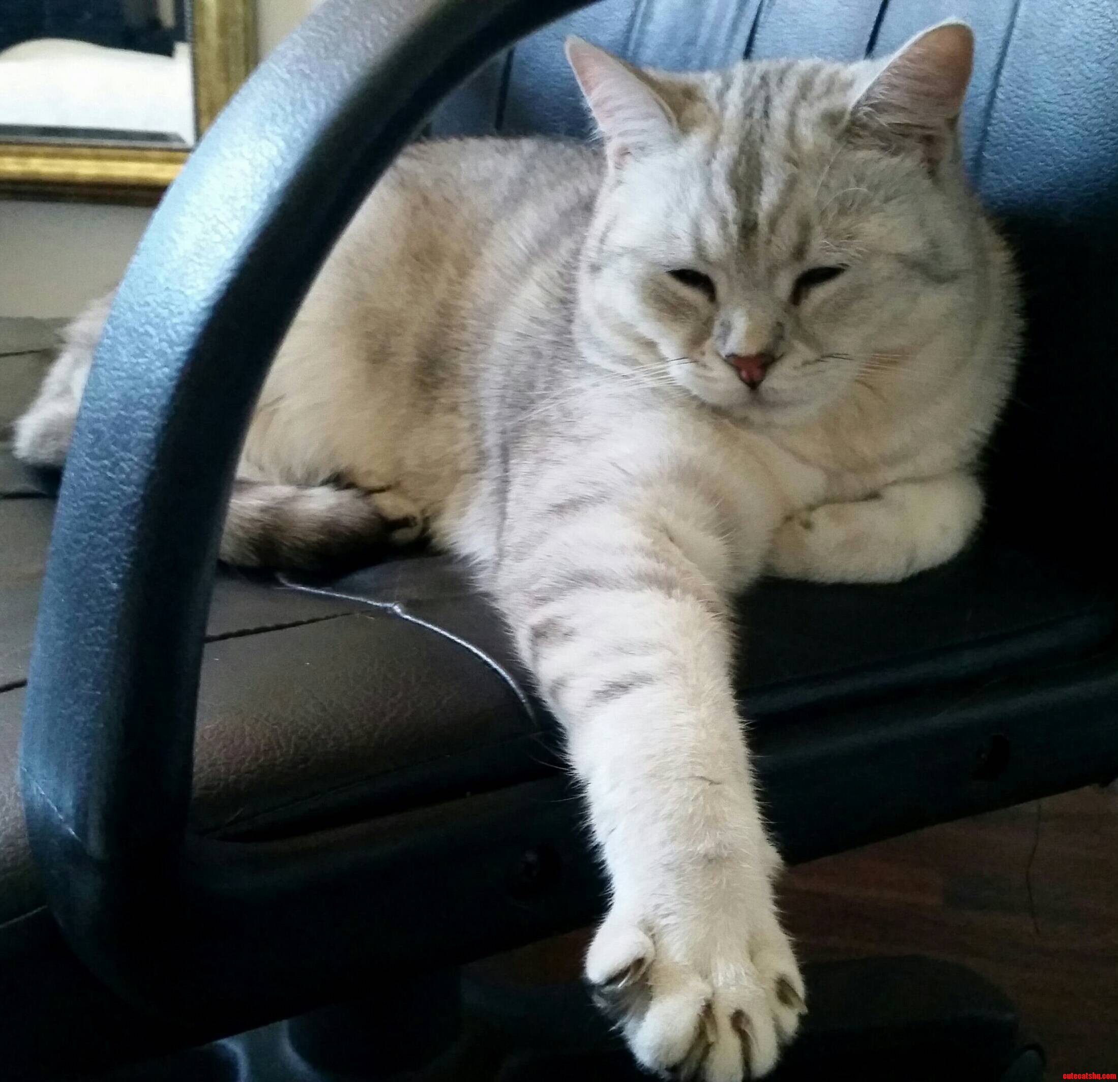 The Boss