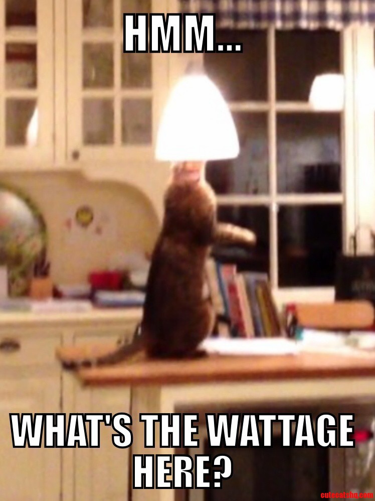 The Electrician Cat - Continued