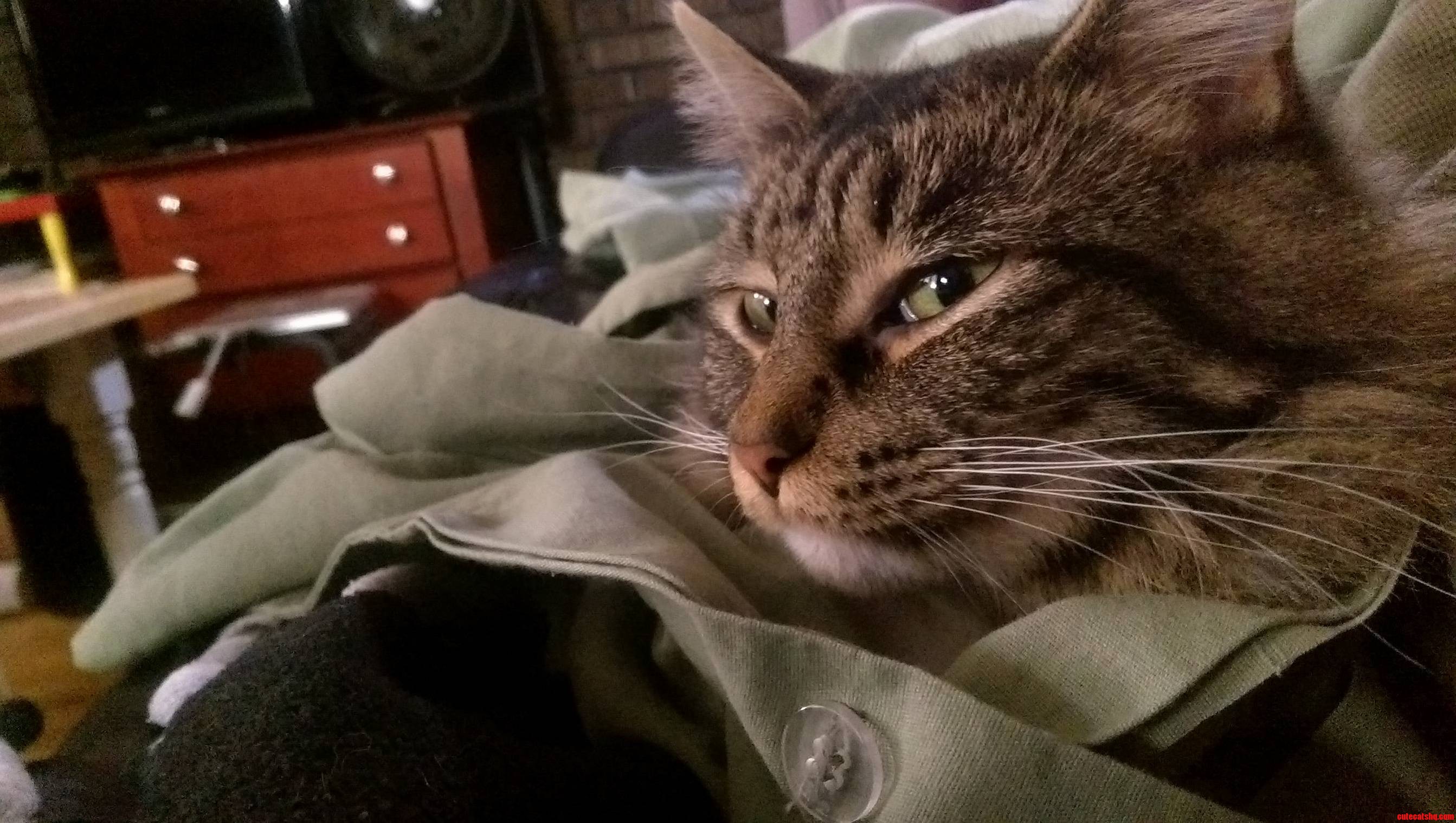 The Pretty Lady Tegan