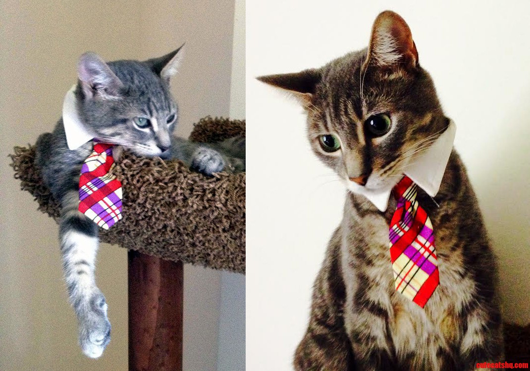 They Grow Up So Damned Fast...