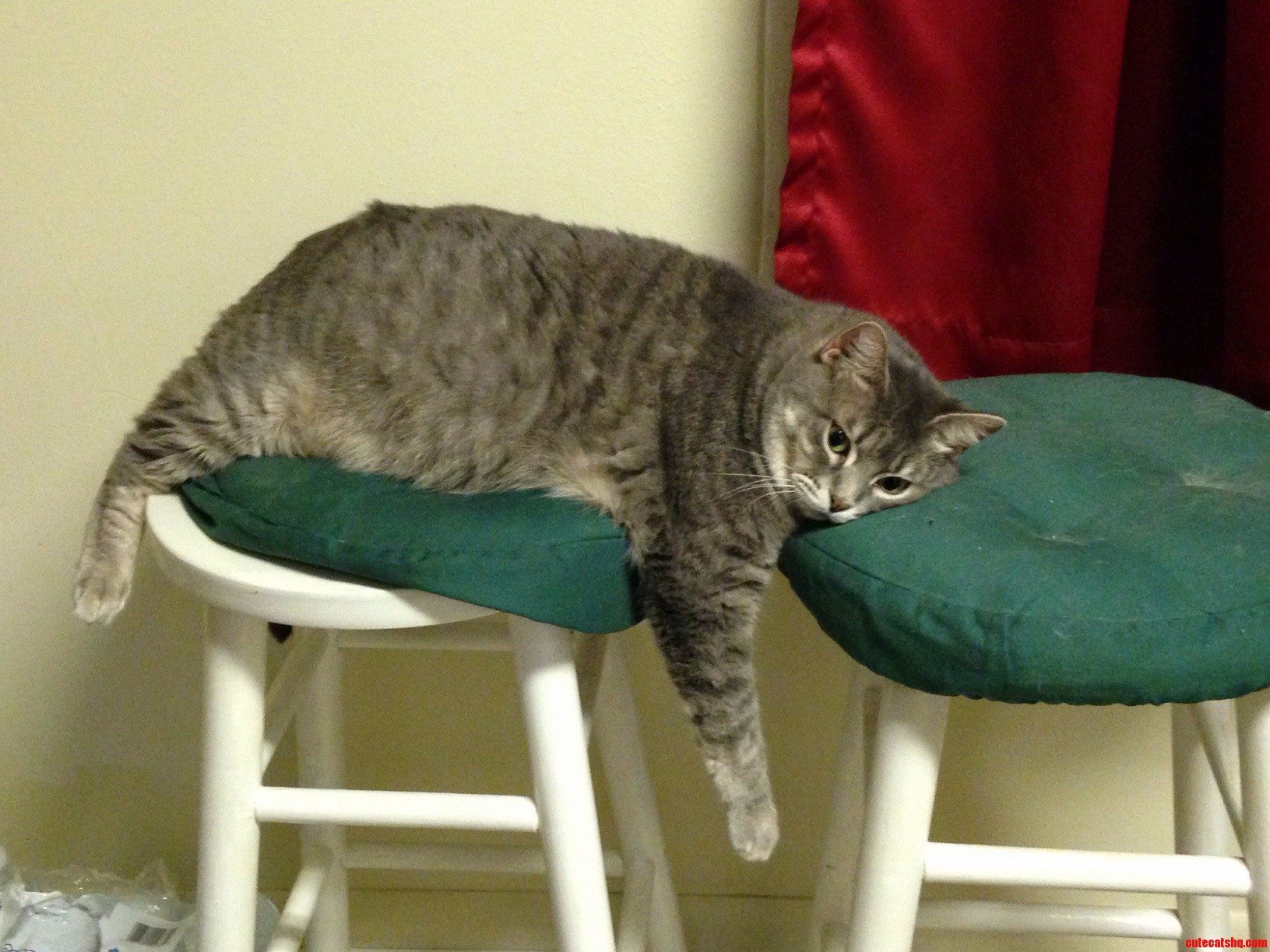 Thinking About Her Next Meal
