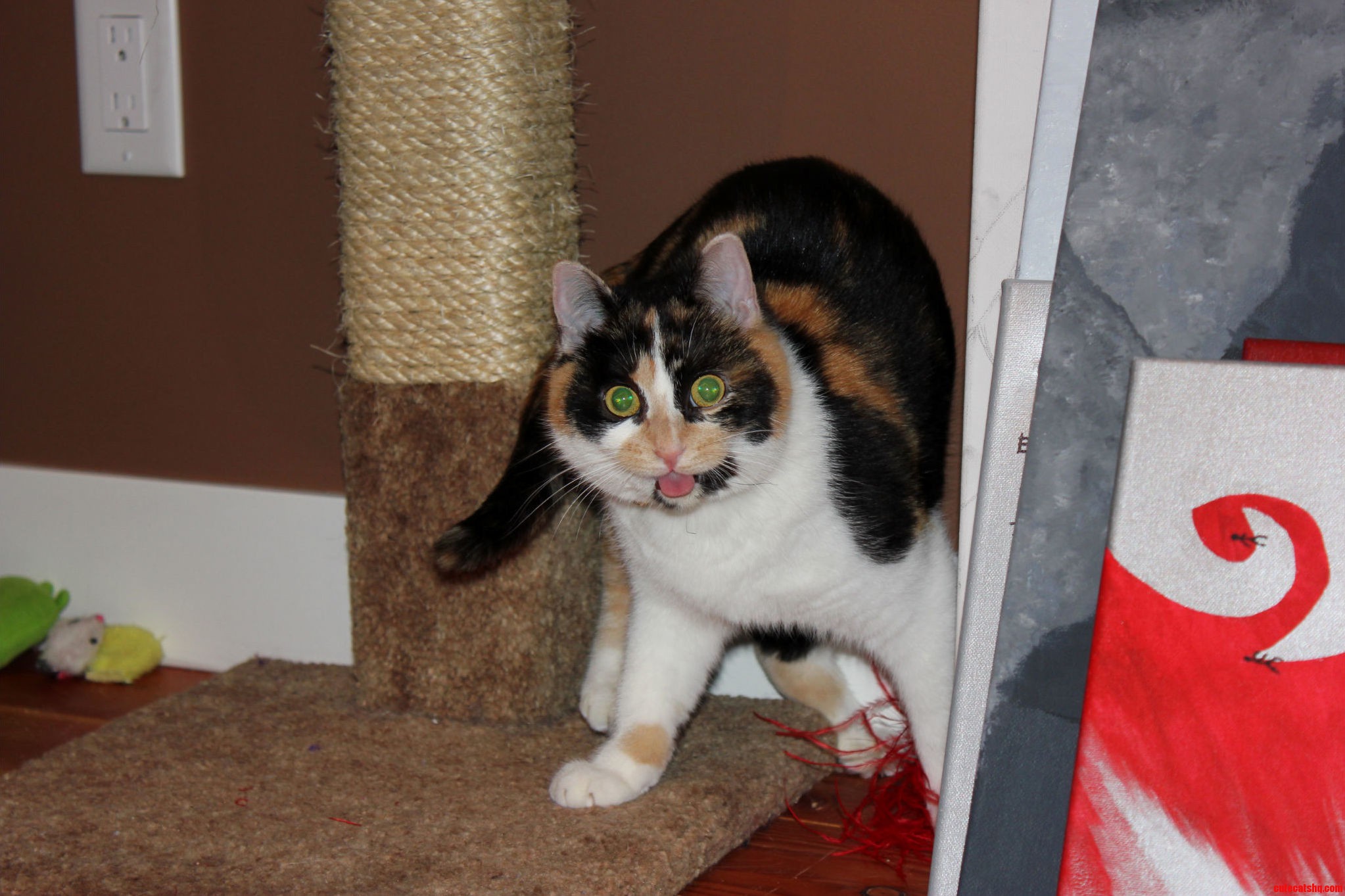 This Is Mia She Can Be a Bit of a Dork