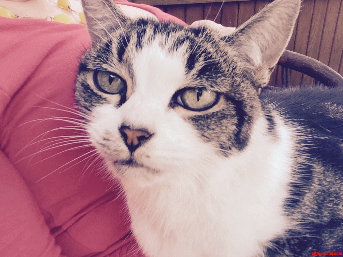 This Is Piff Puff. Shes 15 and a Bit Derpy but Still Lovey.