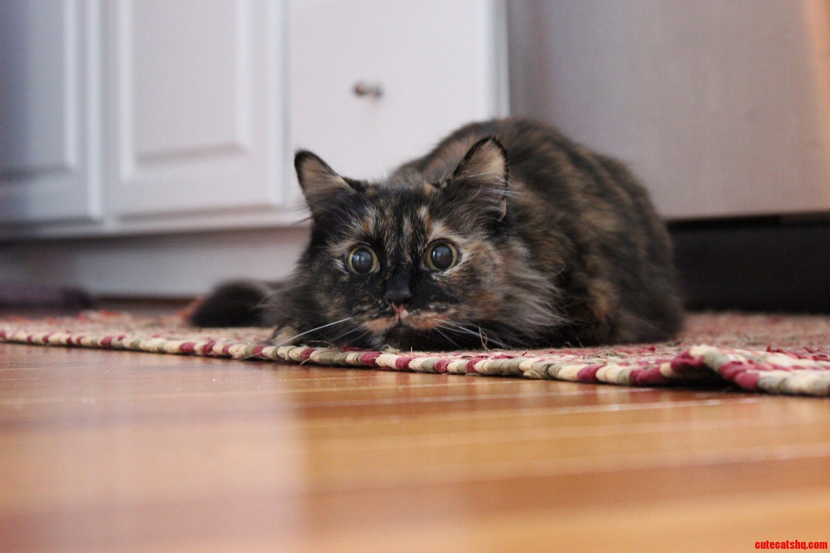 This Is Princess Shes 15 and Loves to Play
