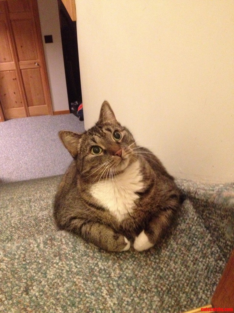 This Is Lacey Isnt She Pretty
