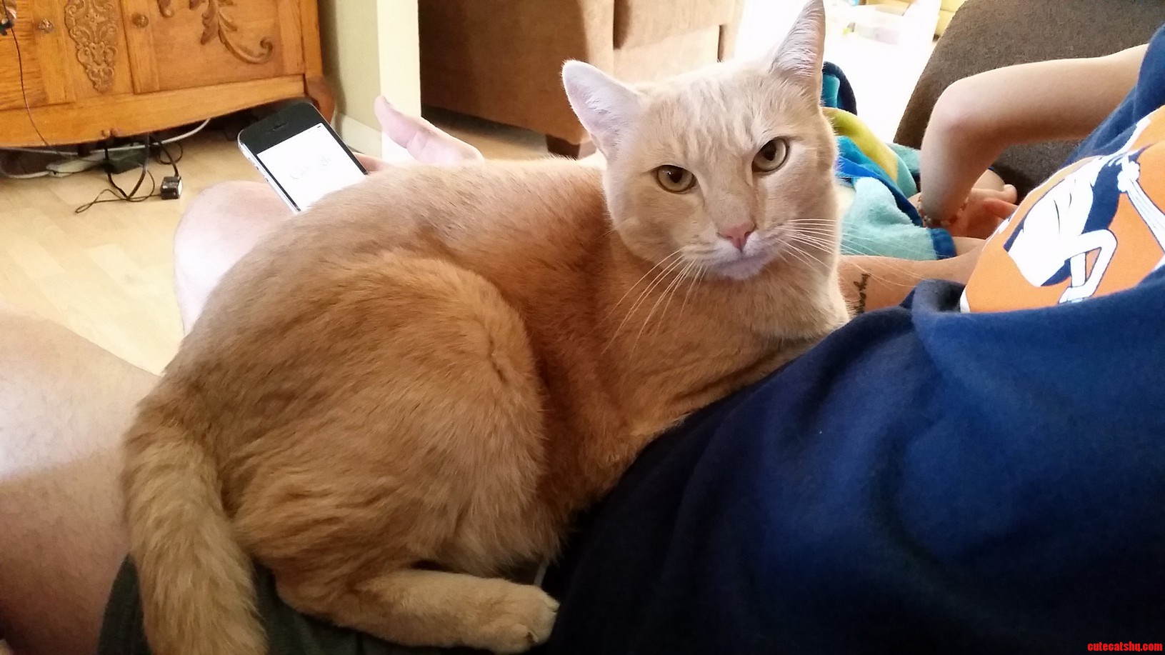 This Is Moty and Thanks to I Now Know His Breed.
