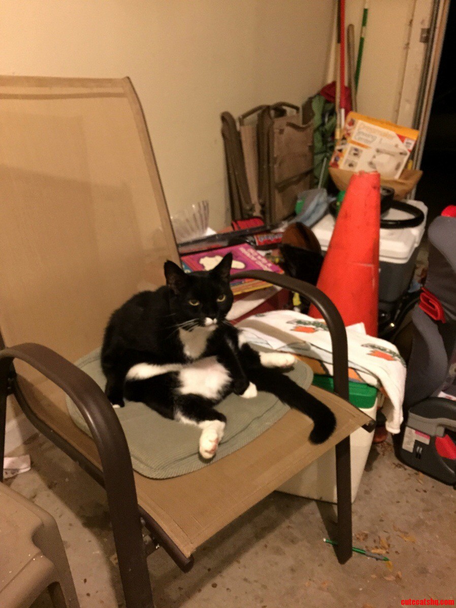 This Is My Cat Peanut. He Likes to Sit Like This.