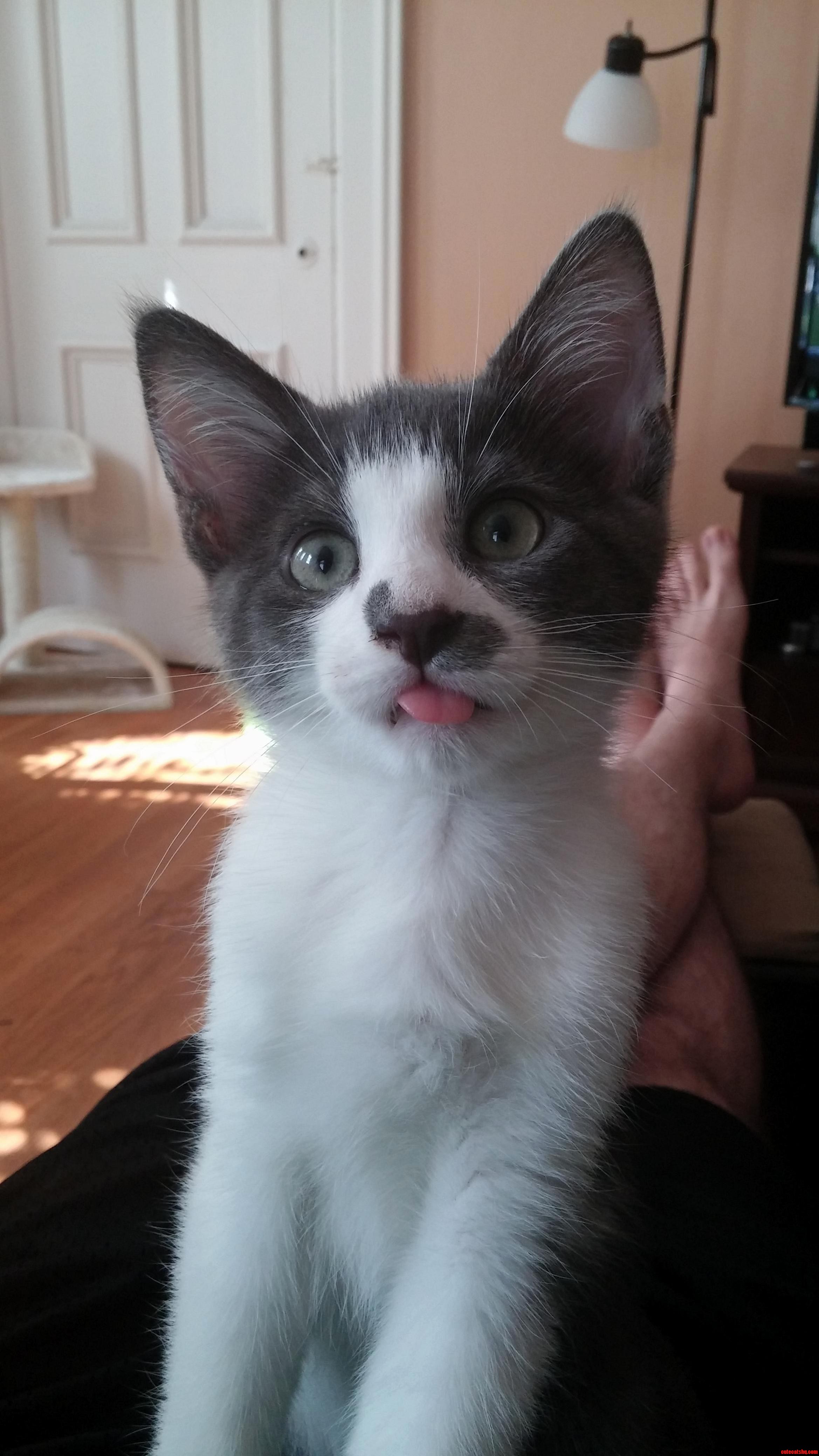 This Is My Special Baxter