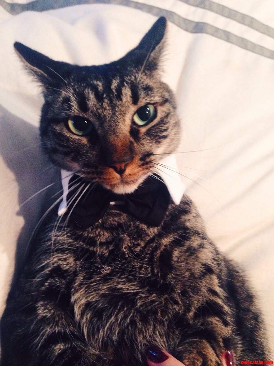 This Perfect Gentlemen Is Going to the Airport to Pick Up His Mom in a Few Hours