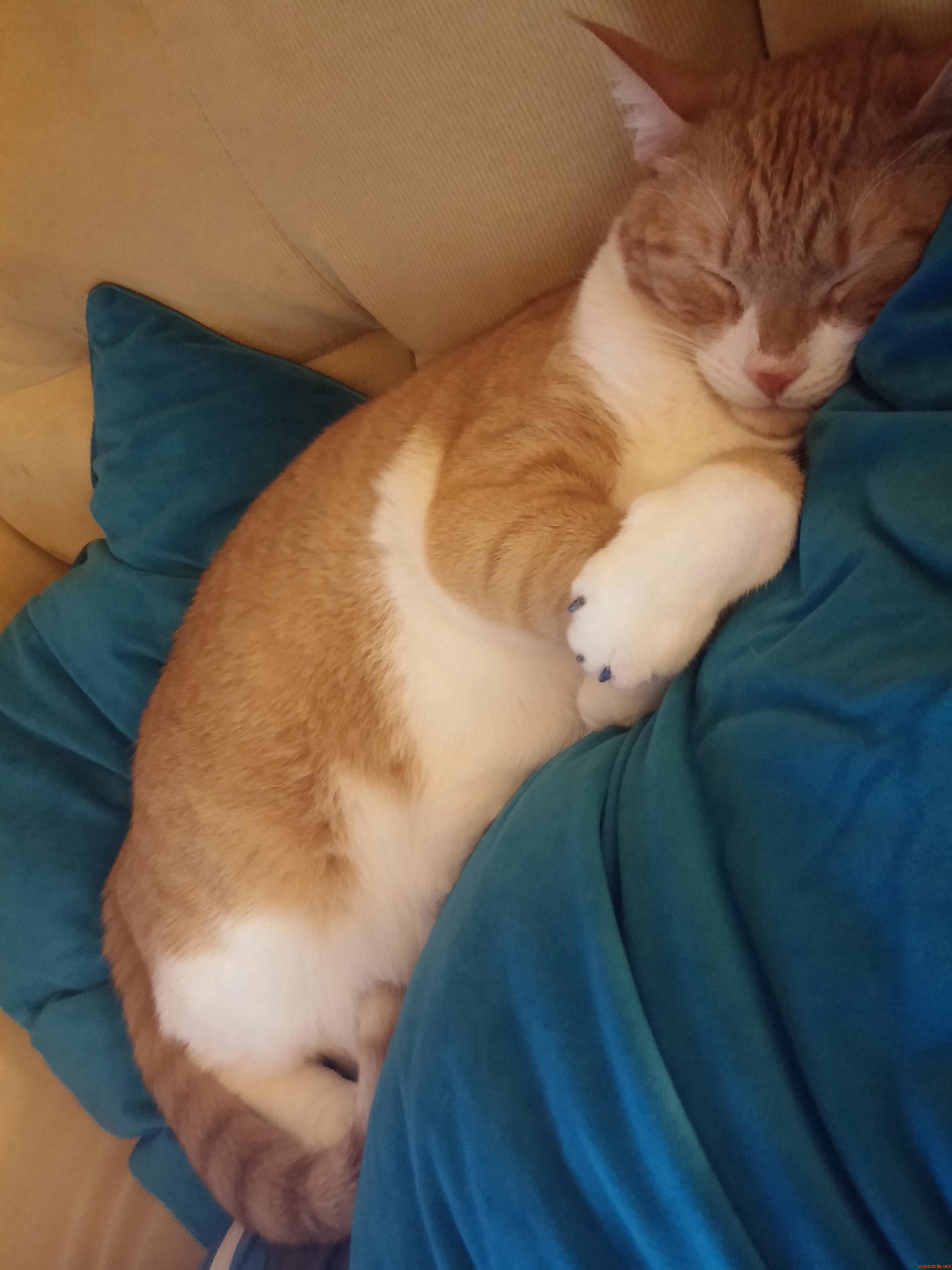 This Sweet Boy with Fashionable Nails Decided to Cuddle Up Next to Me