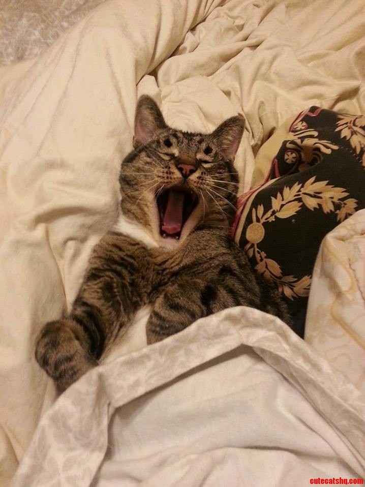 Tiny Doesnt Want to Get Up Either