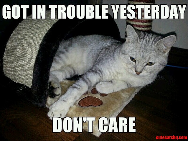 Trouble