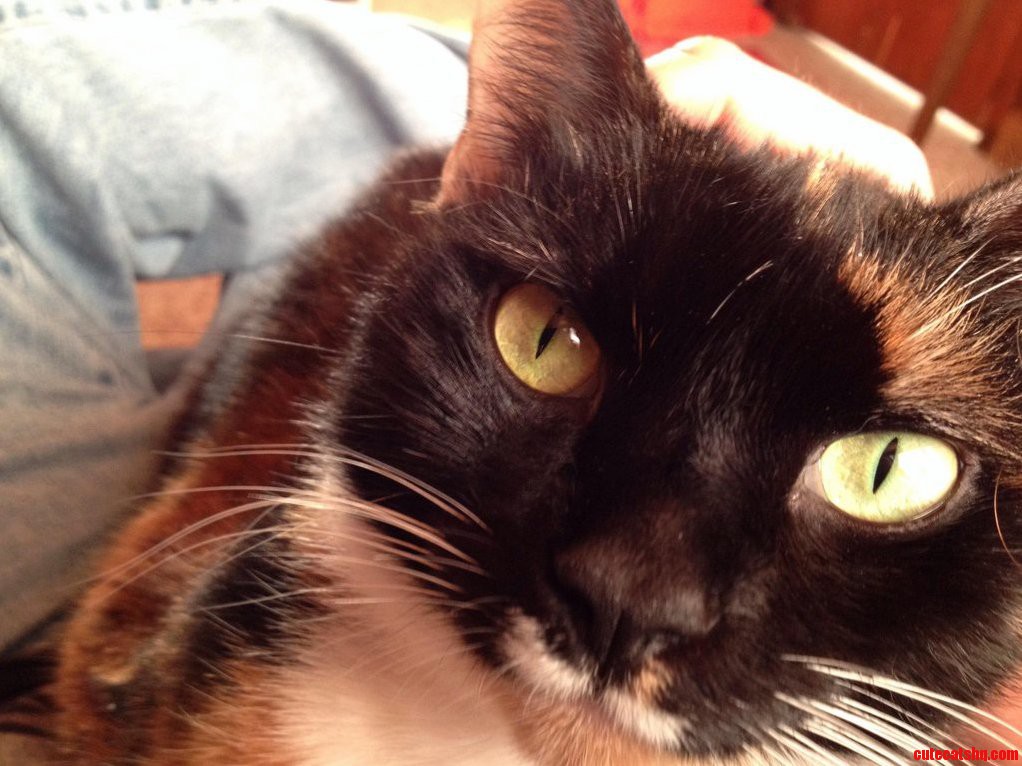 Try and Get Up. I Dare You.