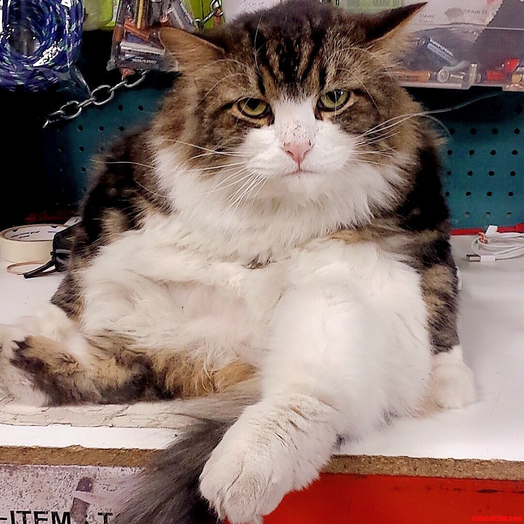 What Are You Looking at