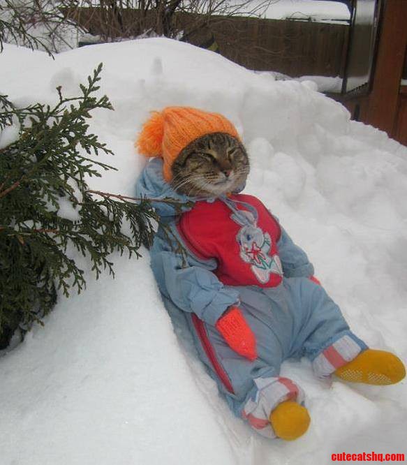 Winter Is Coming