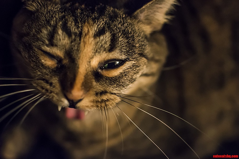 Yawn.