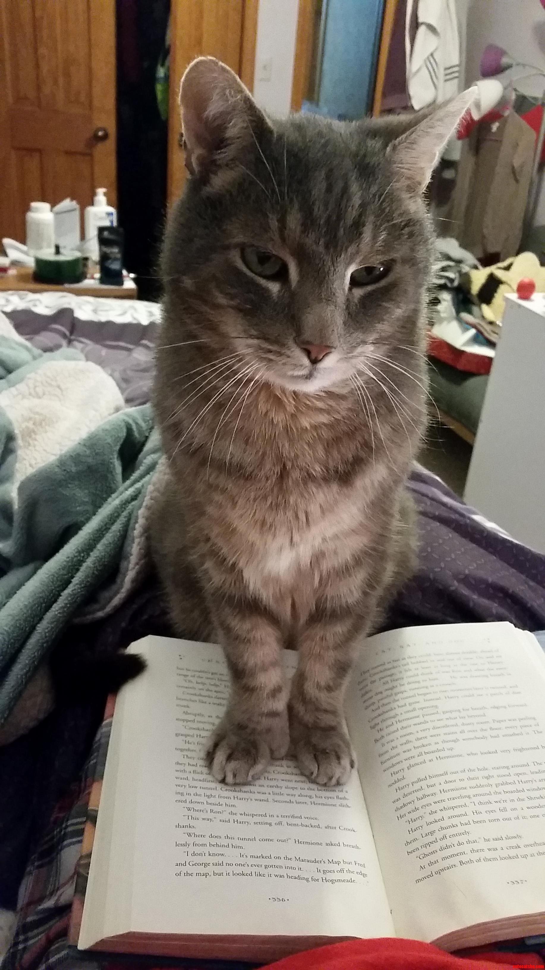 14 Years Old and Hates Sharing Attention.