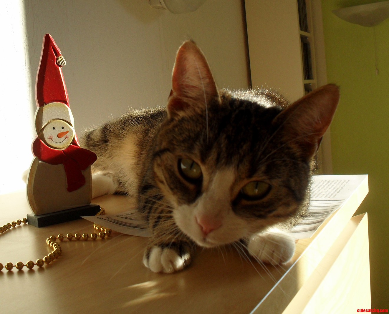 A Little Late for X-mas