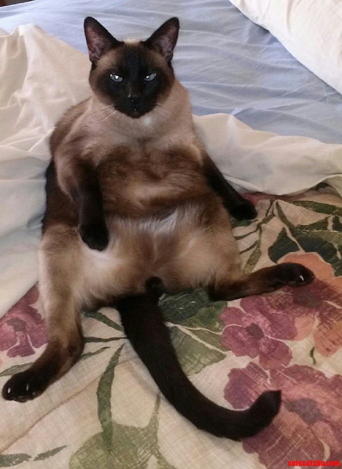 Accidentally Walked in on Him...
