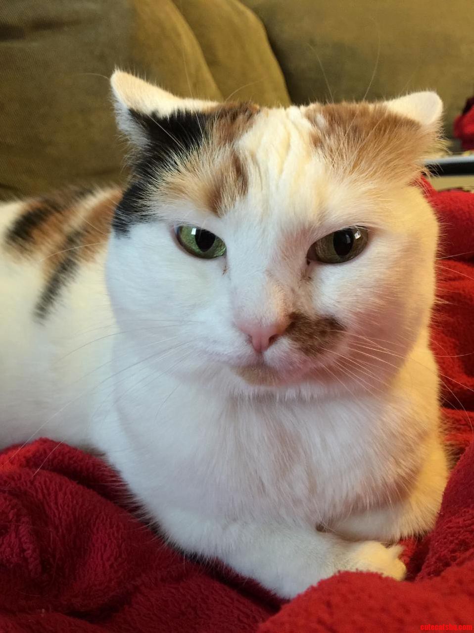 After a Long Day at Work Its Nice to Come Home to a Loving Face.