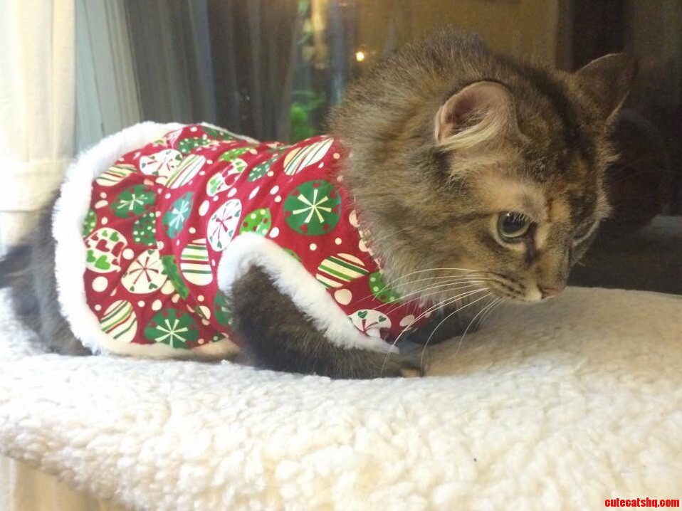 And an Unhappy Christmas Was Had by All.