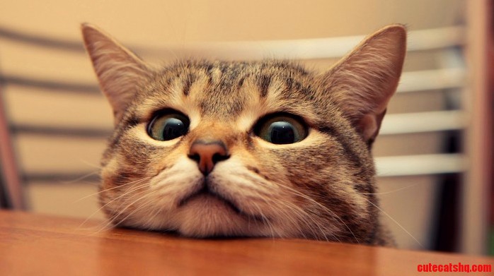 Anyone Awake Its 330am in My World