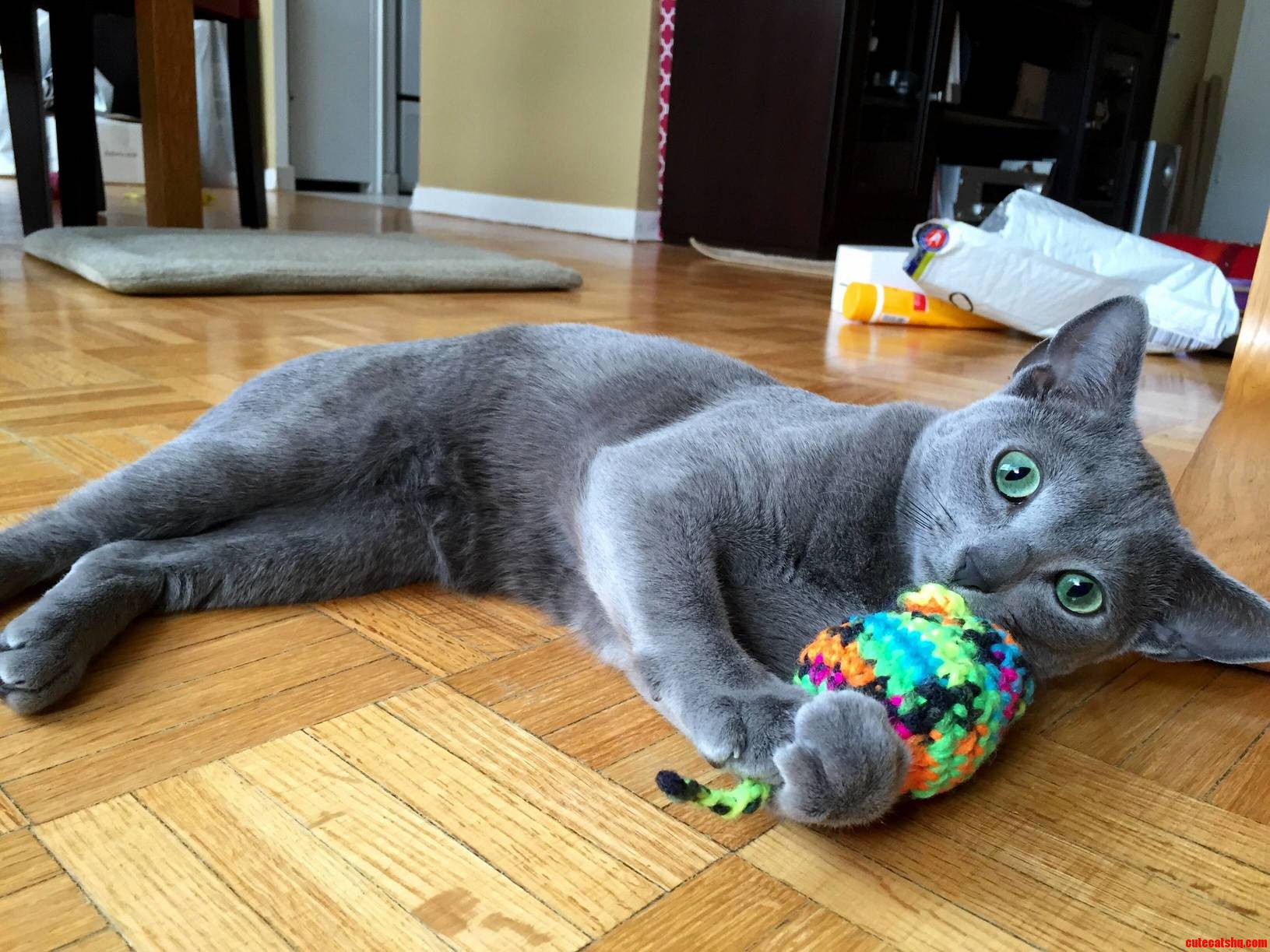 Arya Likes Her Secret Santa