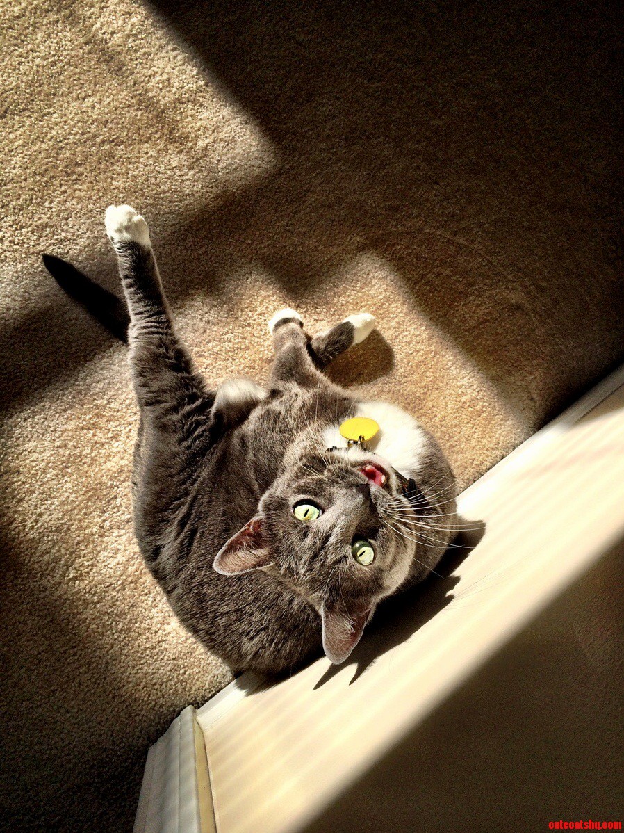 Caught Her Sunning and Grooming