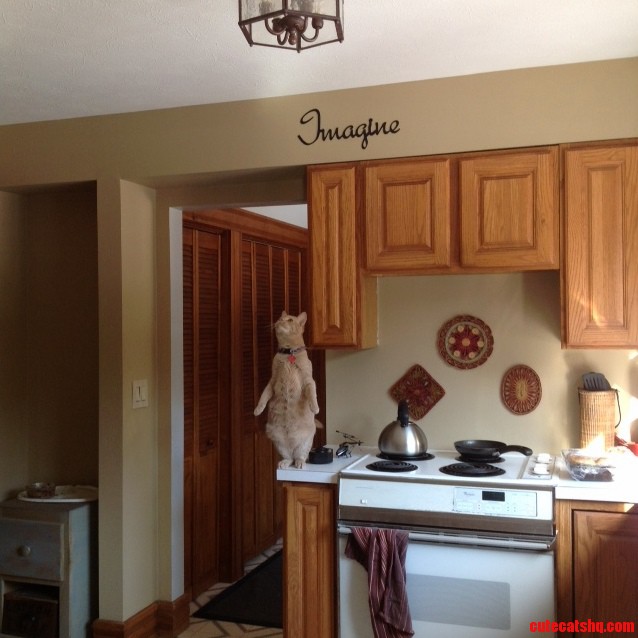 Caught This Goofball Hunting Lady Bugs This Morning