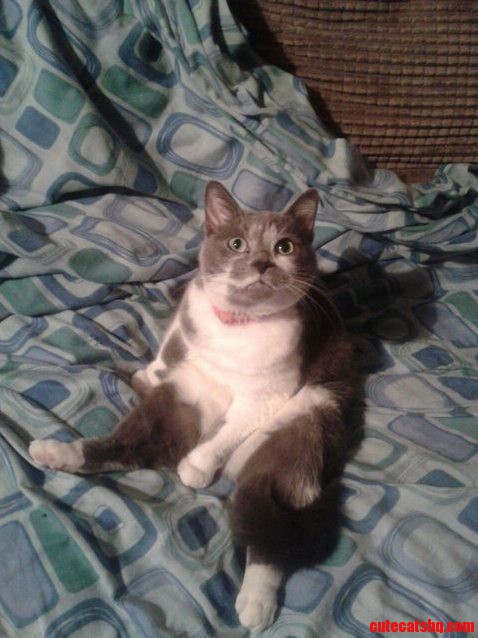 Caught