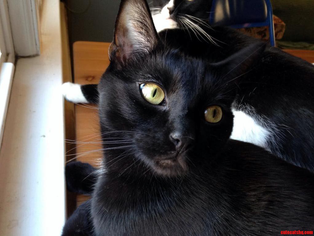 Chaz-sitting Still for Once.