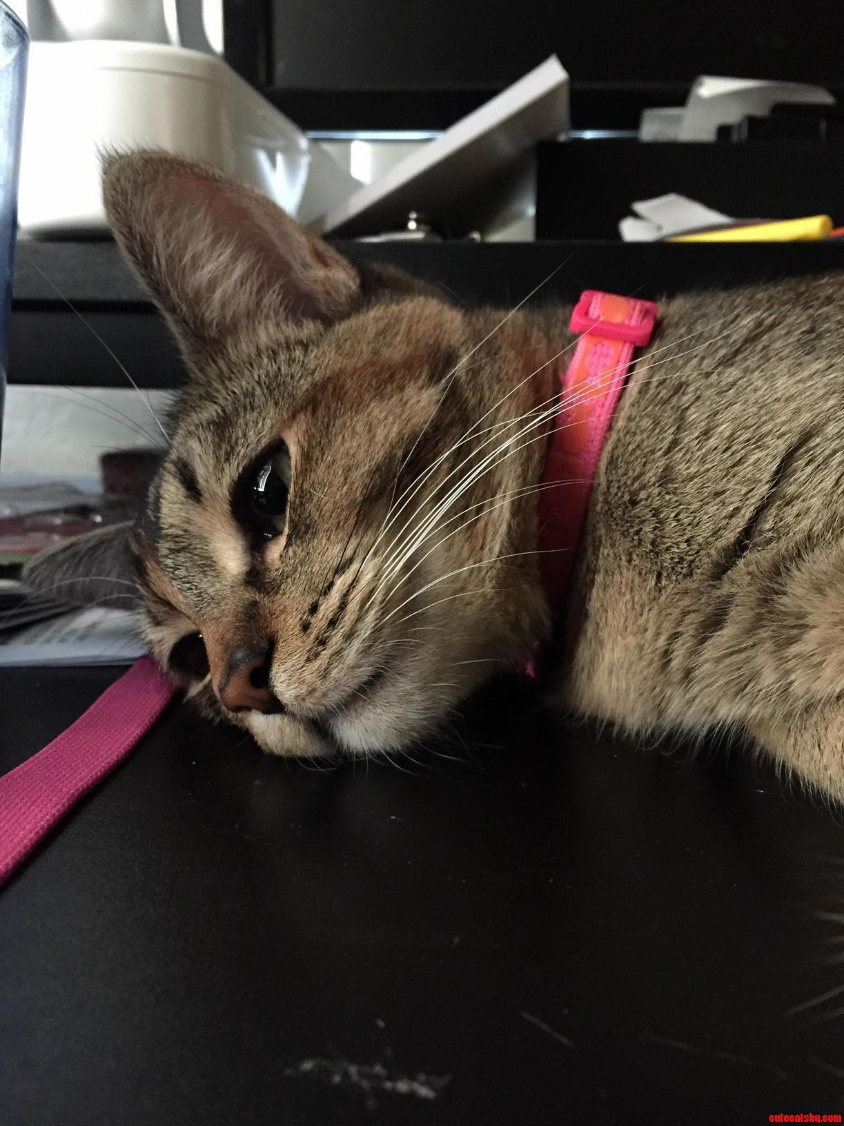 Contemplating the Meaning of Life.