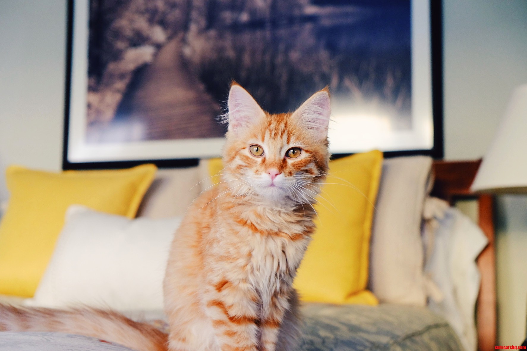 Cutest Little Ginger