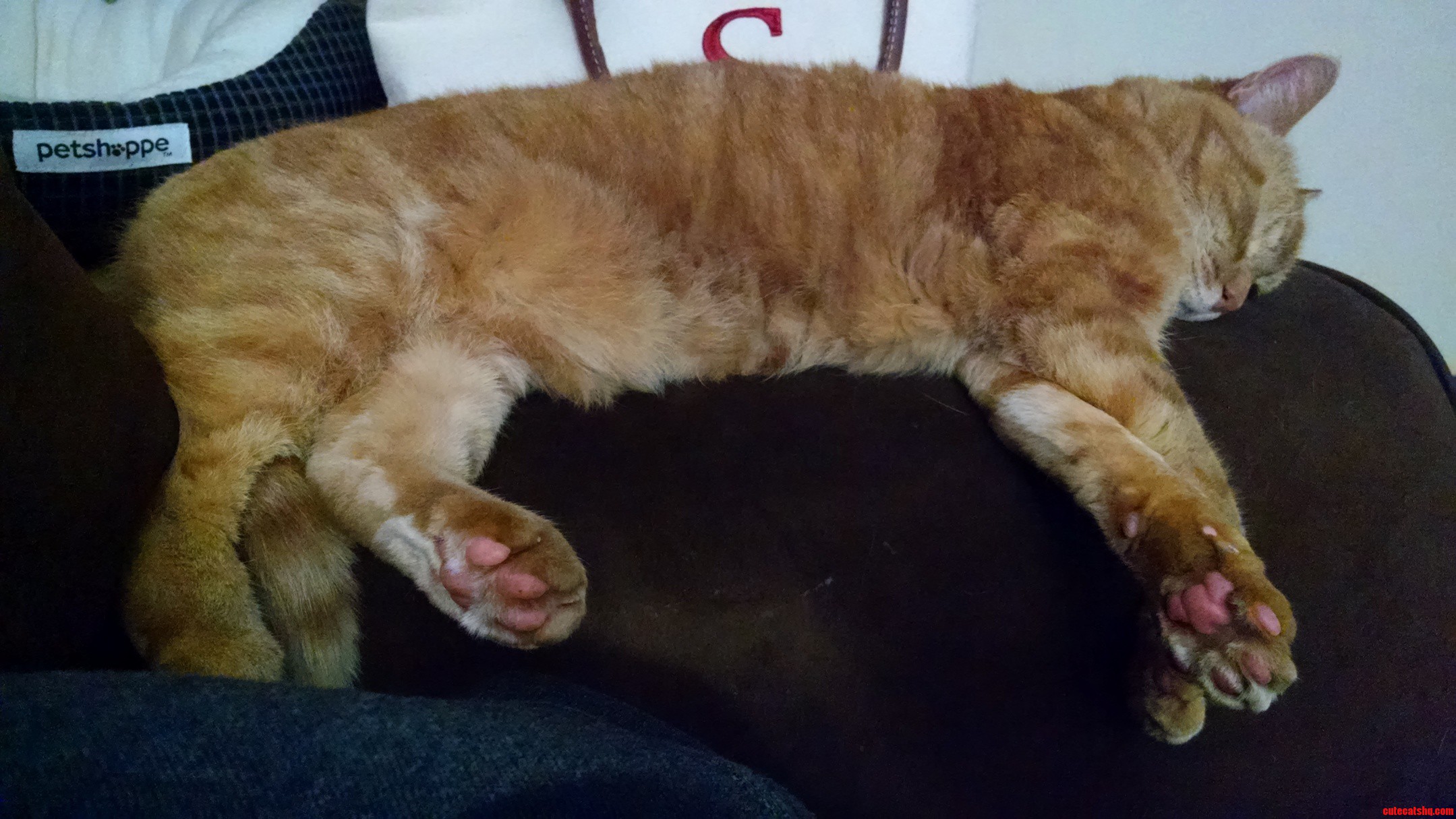 Dem Jellybean Toes