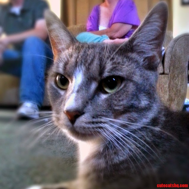 Doc Thoroughly Unamused at Xbox One Games.