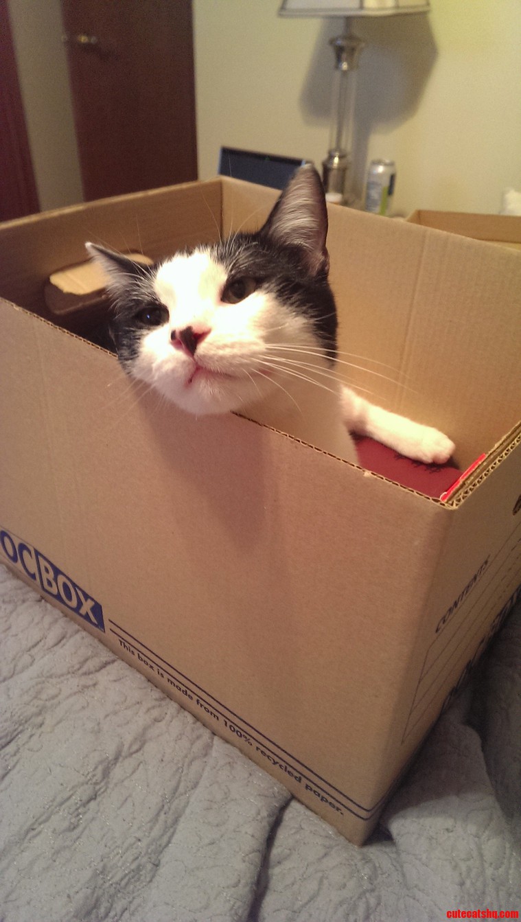 Doing Some Filing