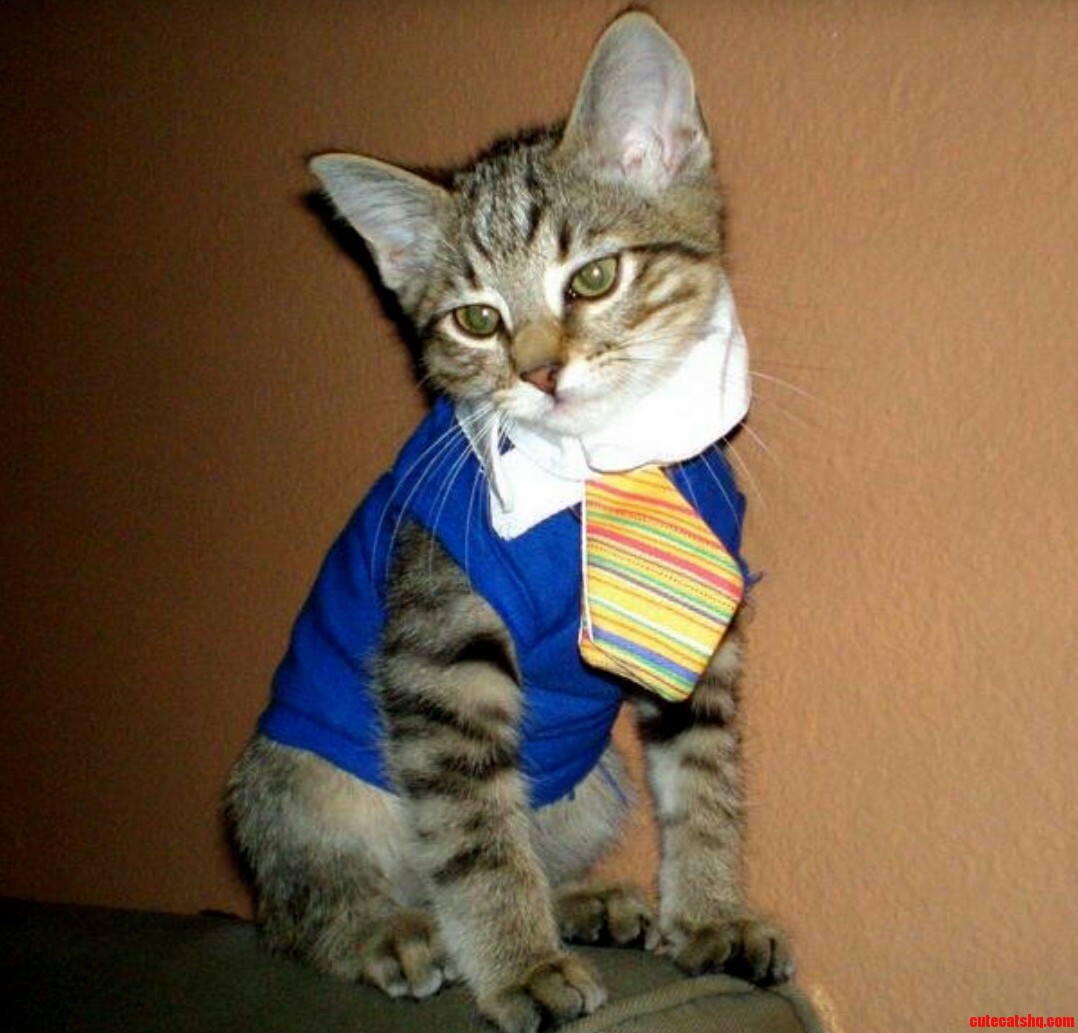Dwights Preschool Picture