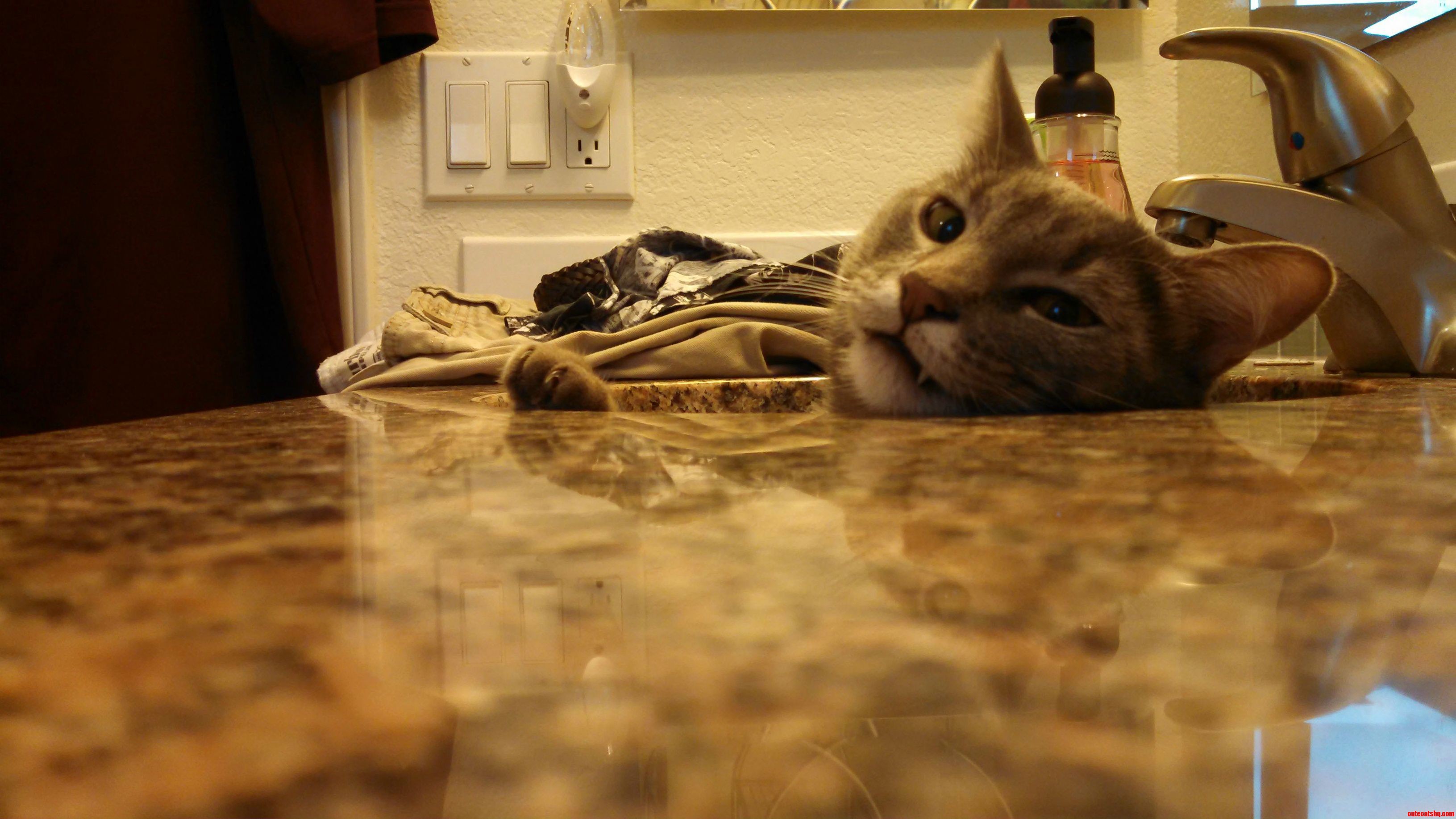 Getting His Best Argument from the Sink.
