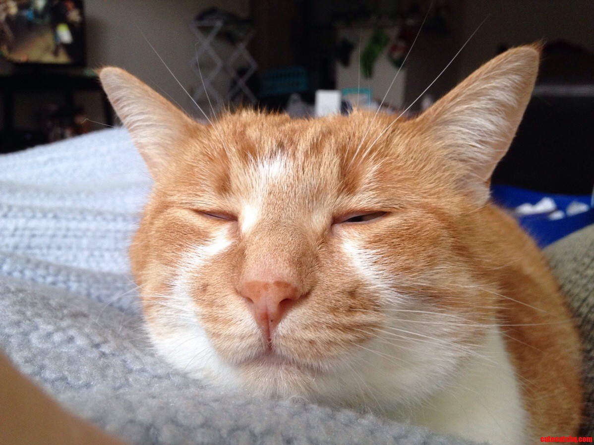 Good Morning ....Wait Never Mind.