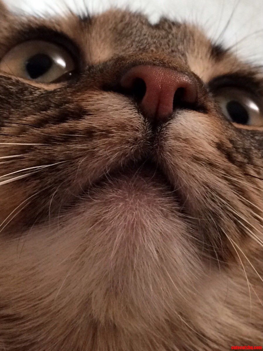 Harvey Intensifies