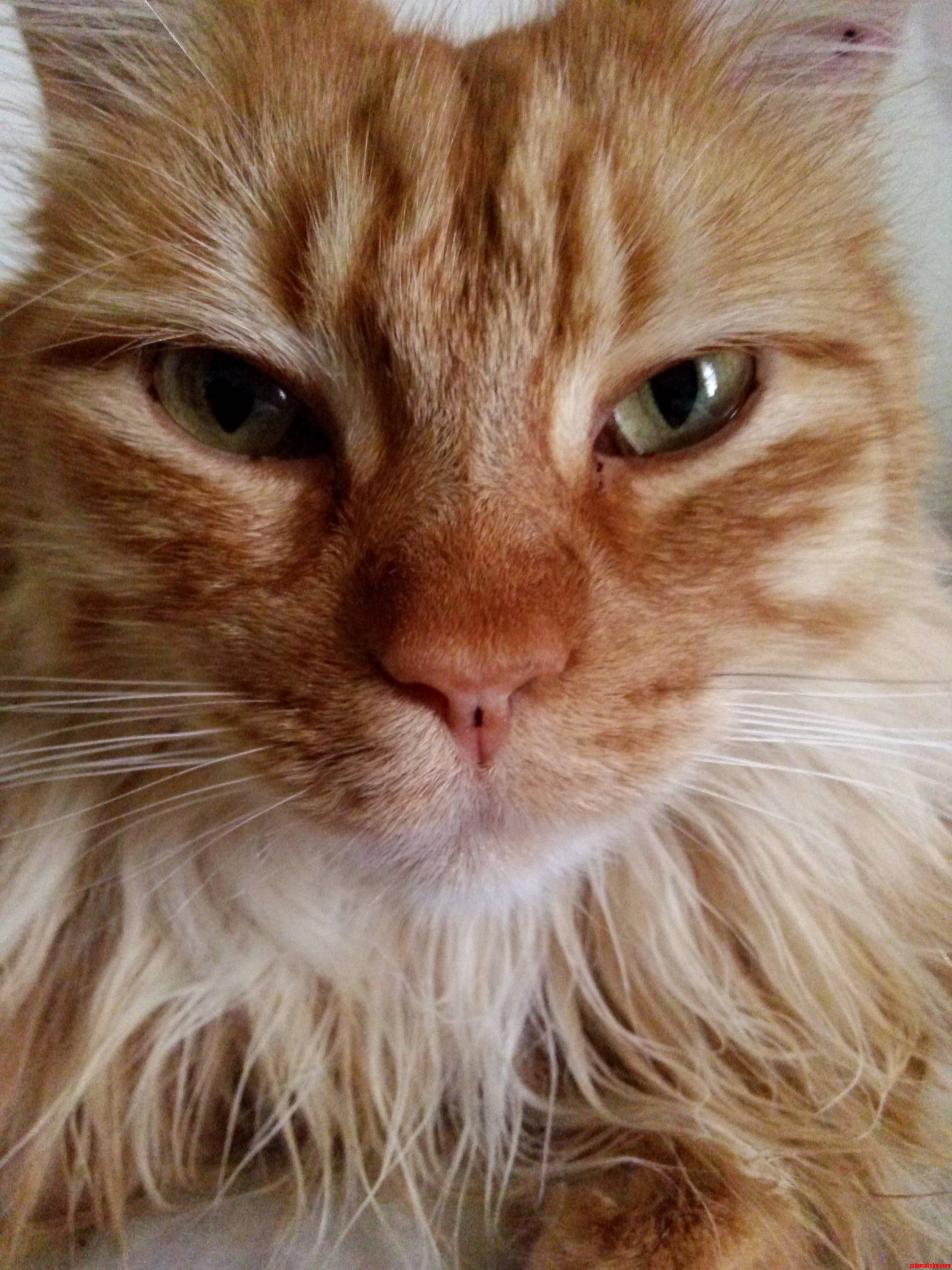 He Always Looks So Serious