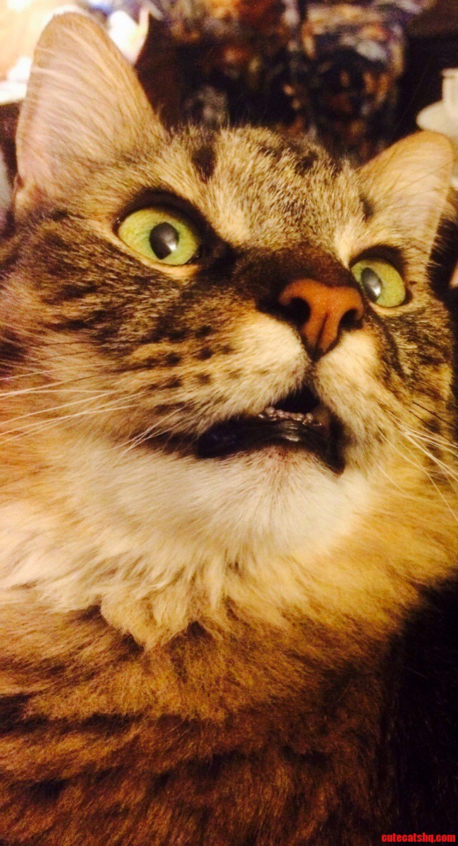 He Saw a Ladybug on the Wall.