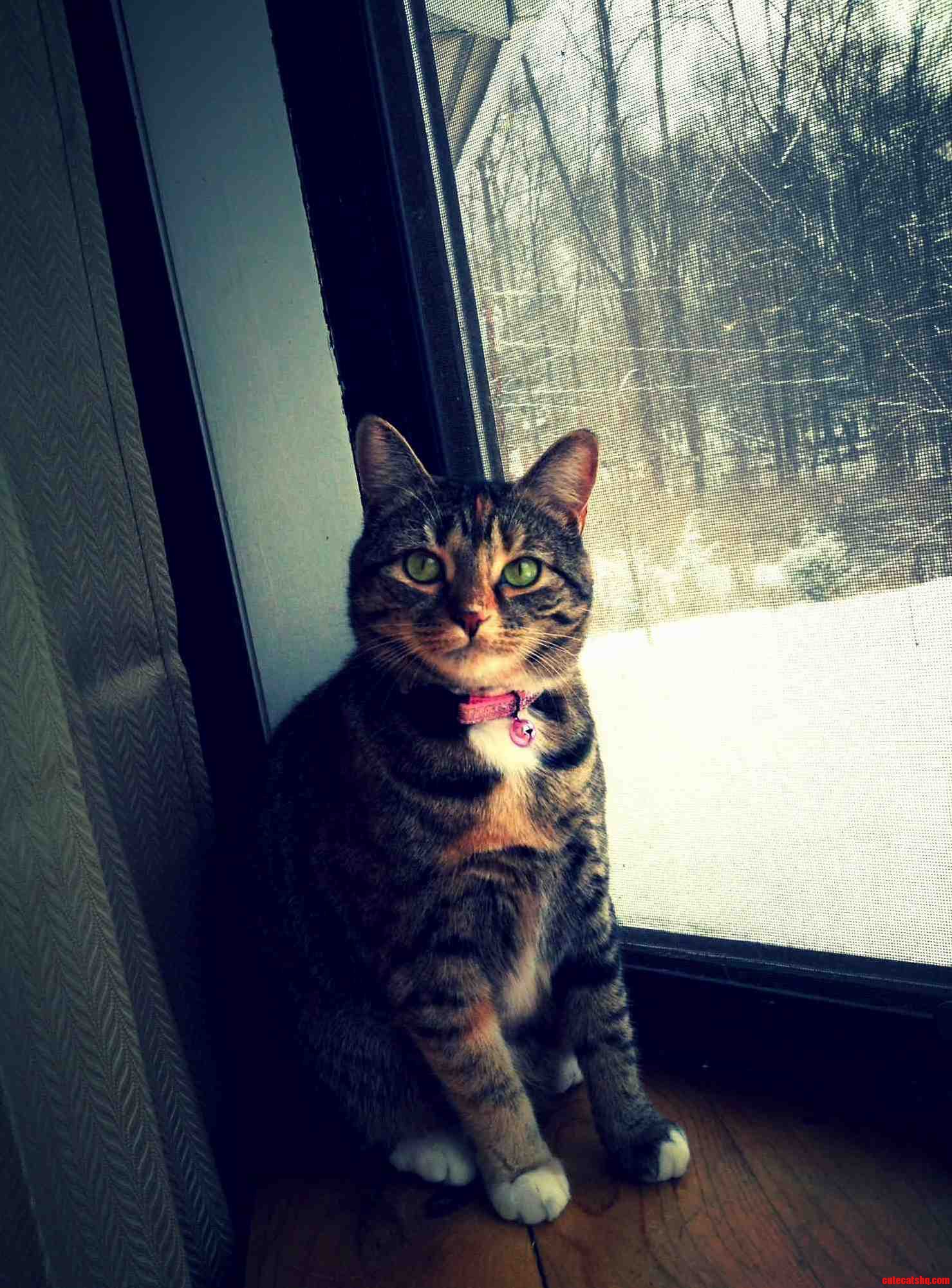 Her First Snow Day.