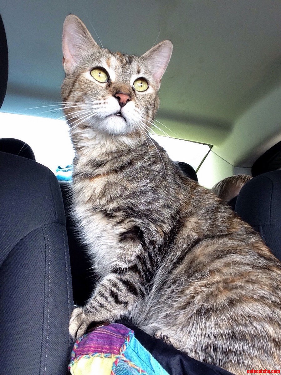 Her Majesty