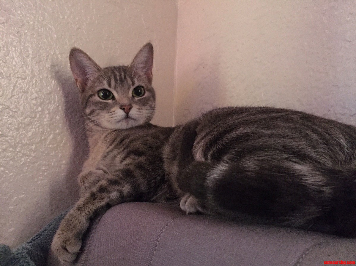 Her Name Is Pink and She Recently Turned 1.