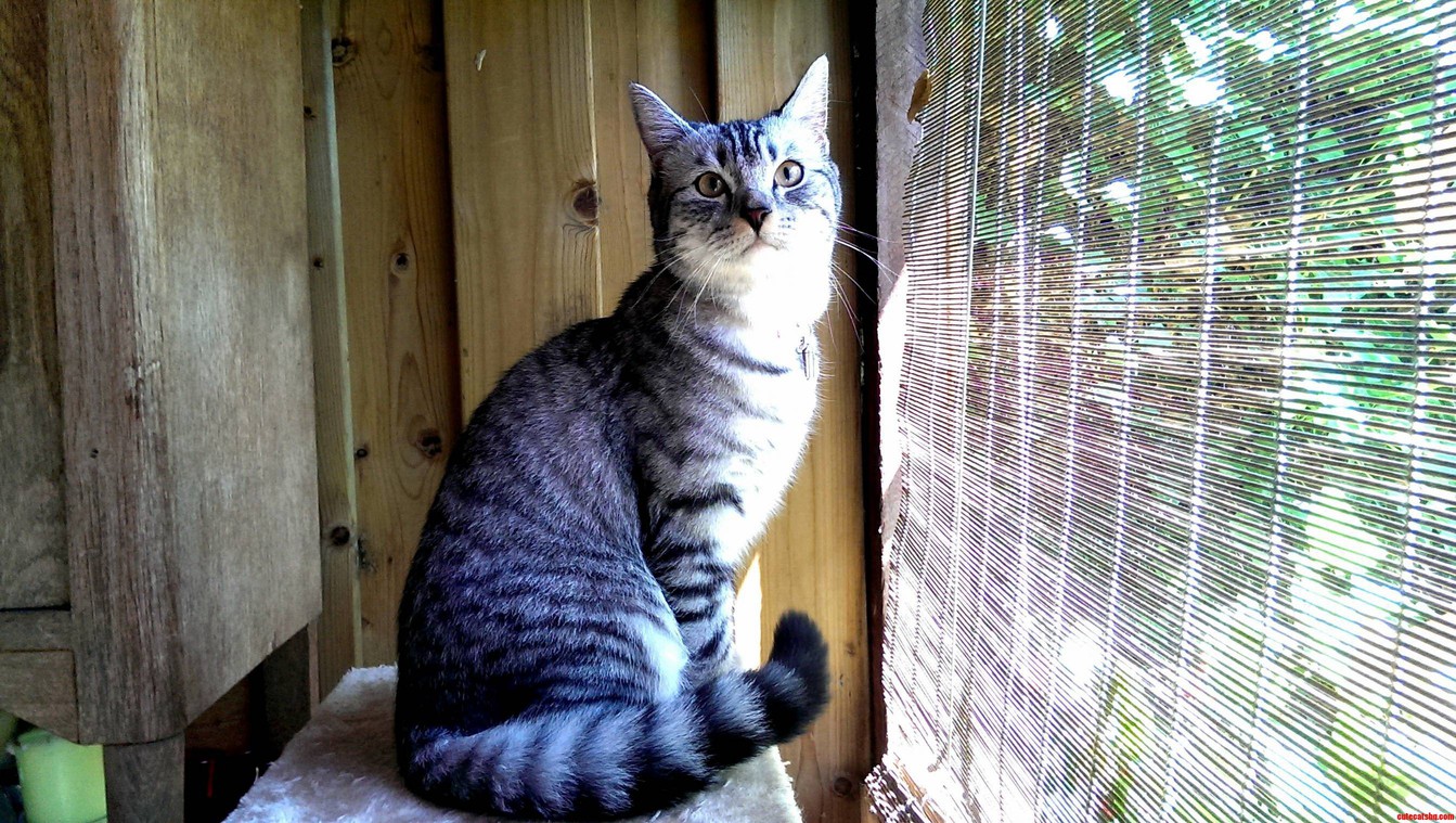 Her Name Is Tooty