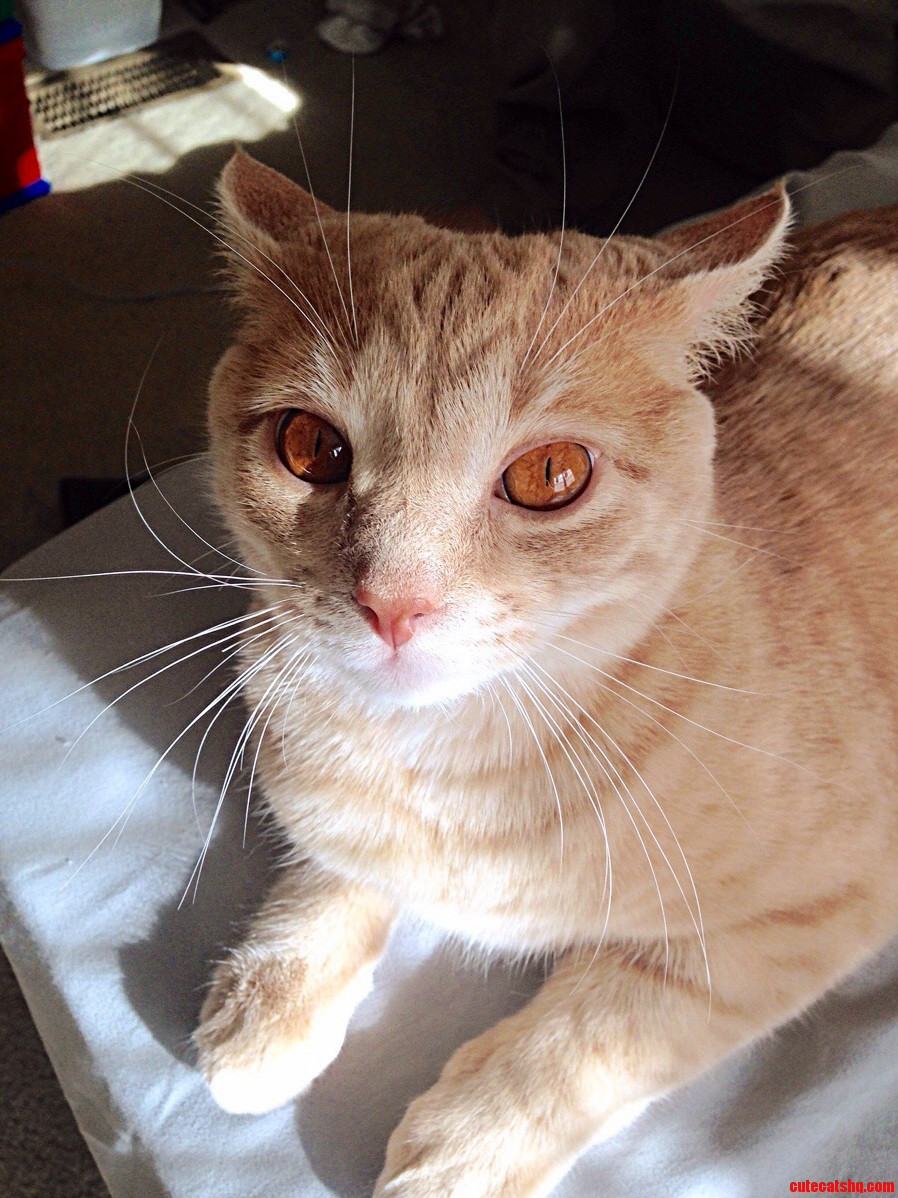 His Eyes Scare Me Sometimes...