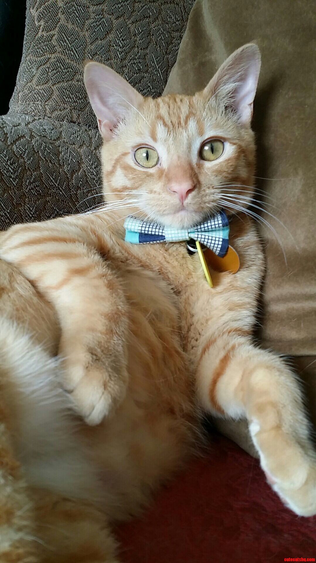 His Name Is Moony