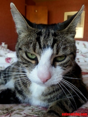 I Dont Think He Approves of My Photography