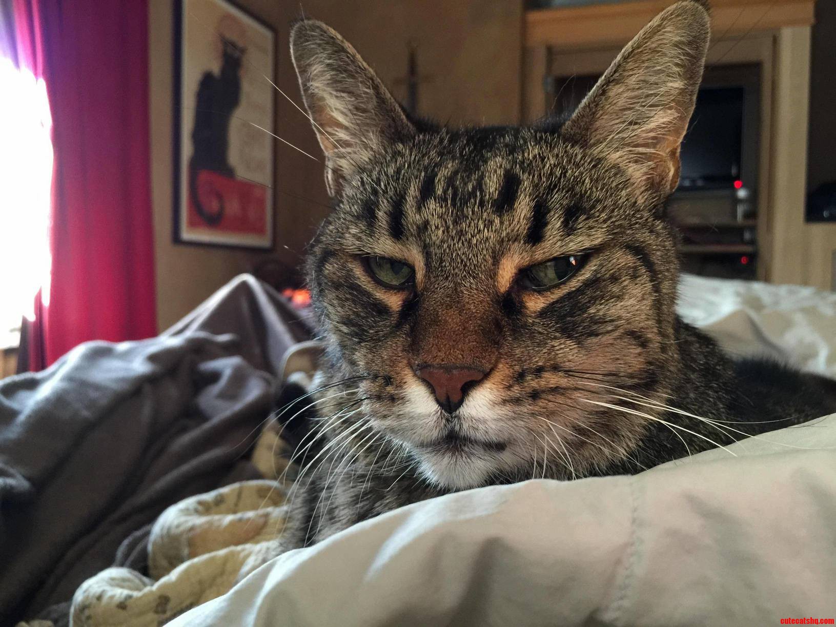 I Guess Its Time to Get Up